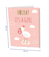 Window signs Newborn baby girl